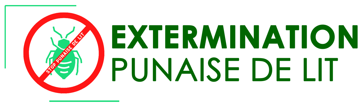 Logo du site